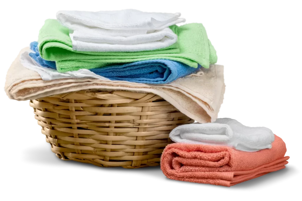 Laundry Doctor Payment Page