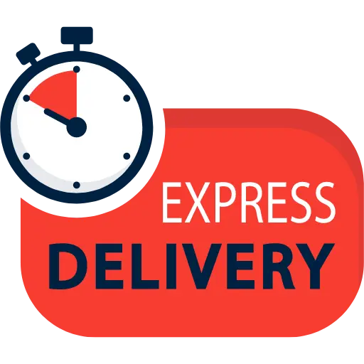 Express Delivery Icon